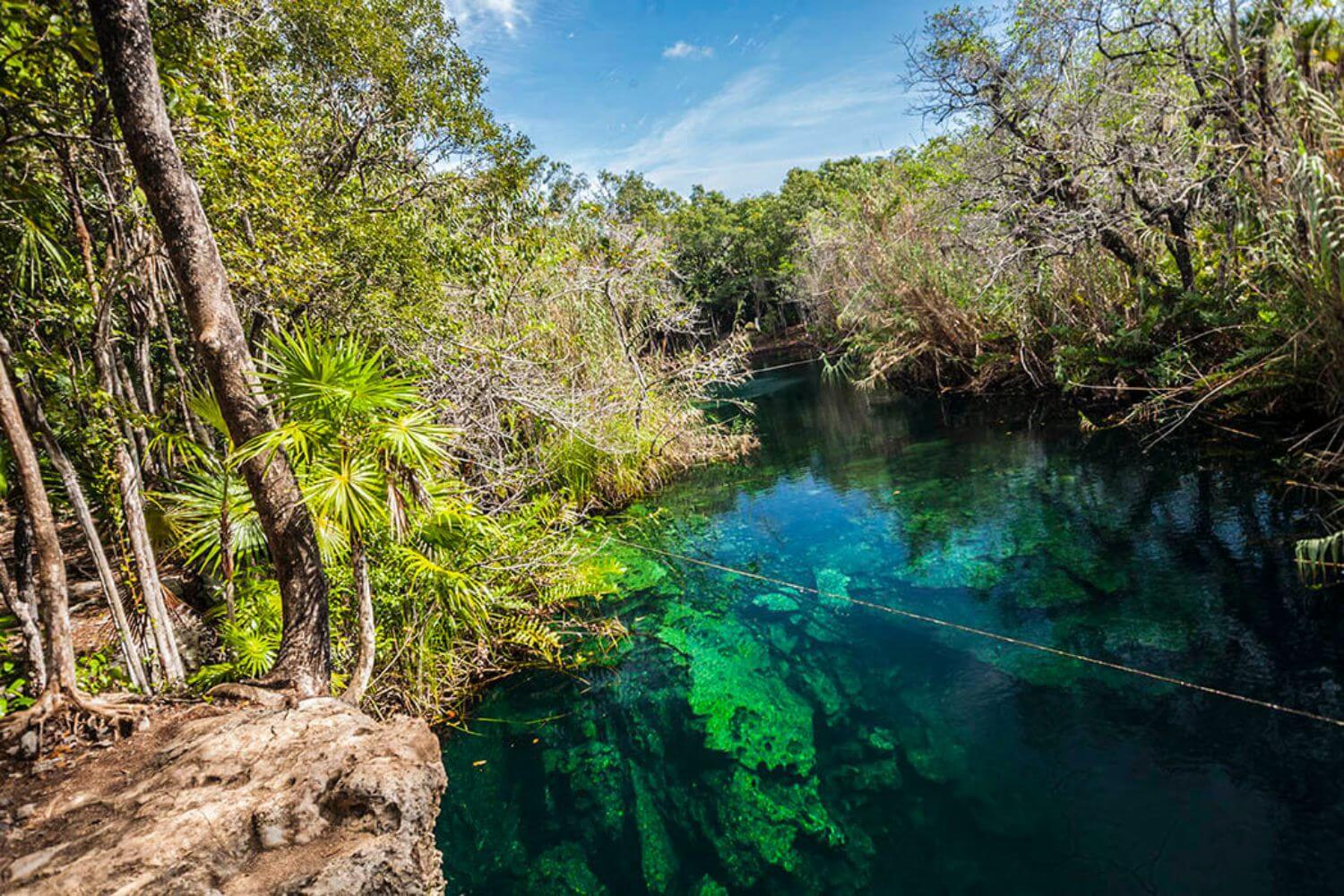 Playa del Carmen Food Tour