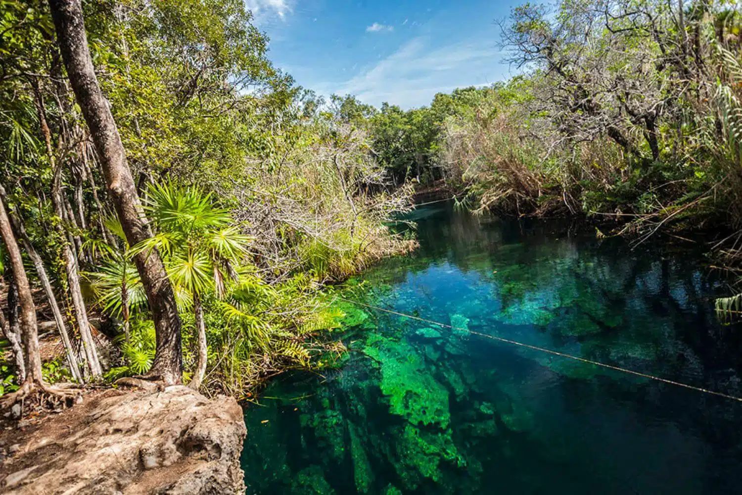 Playa del Carmen Food Tour