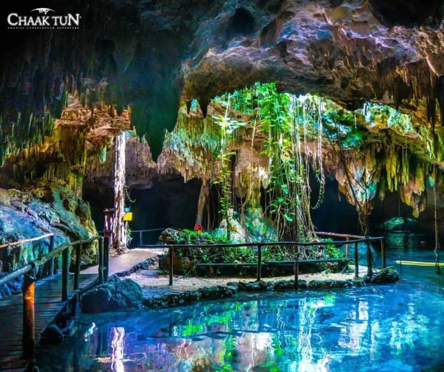 Mexico City Food Tours