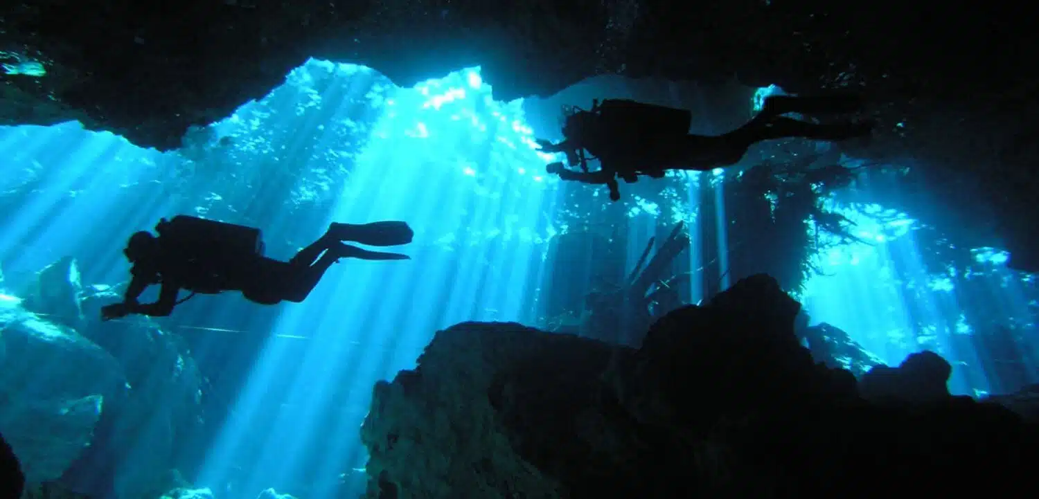 Mexico City Food Tours