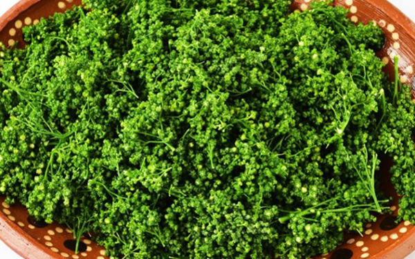 Cabo San Lucas Food Tour Mexico Food Tour