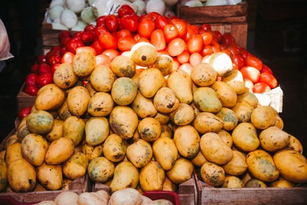 Mexico City Food Tour