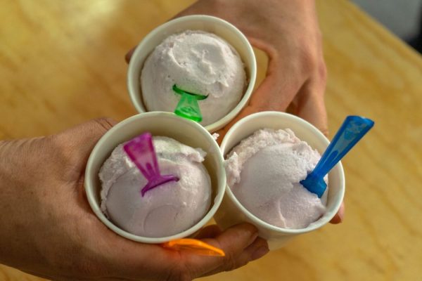 DSC07641 Playa del Carmen Food Tour