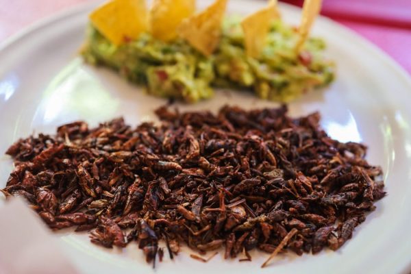 Playa del Carmen Food Tour