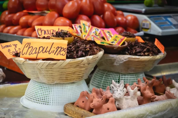 Mexico City Food Tour