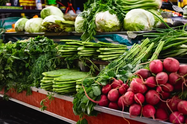 Playa del Carmen Food Tour