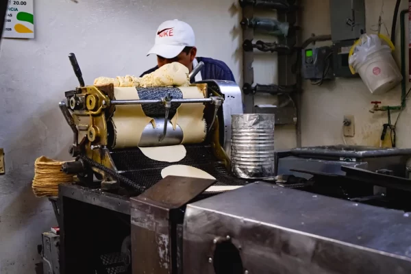 Playa del Carmen Food Tour