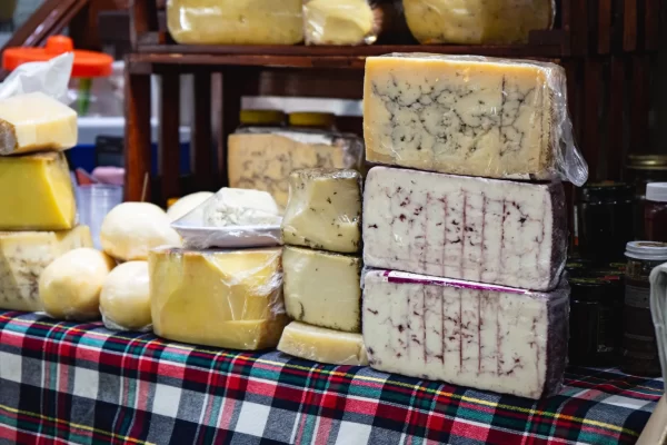 Playa del Carmen Food Tour