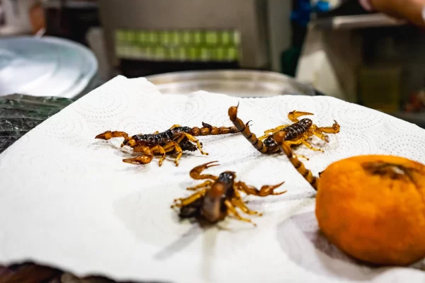 Playa del Carmen Food Tour