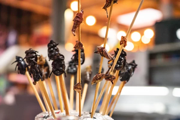 Playa del Carmen Food Tour