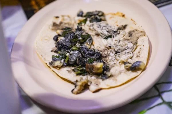 Playa del Carmen Food Tour