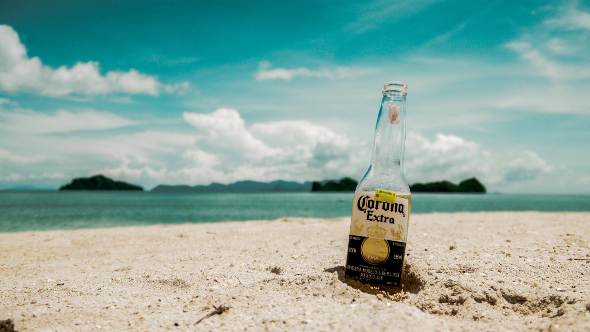 Playa del Carmen Food Tour
